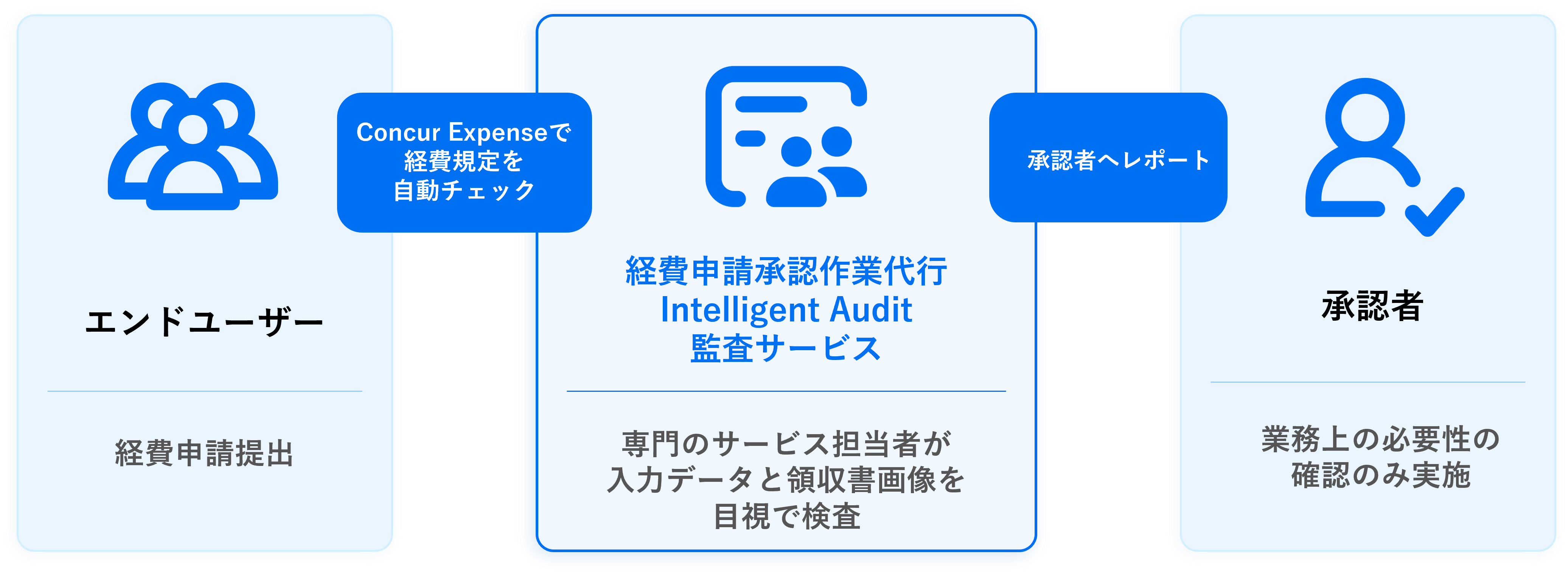 Intelligent Auditとは